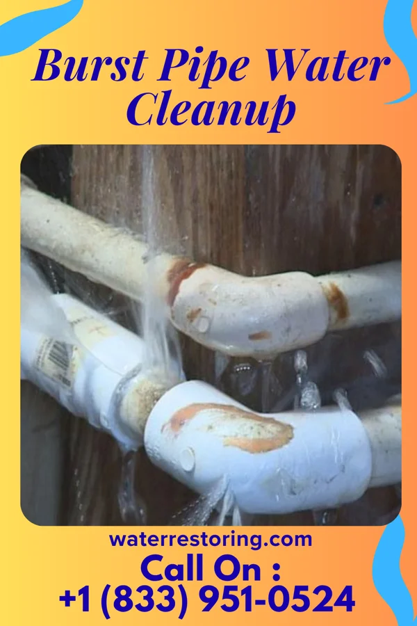 Burst Pipe Water Cleanup in Bardonia, NY