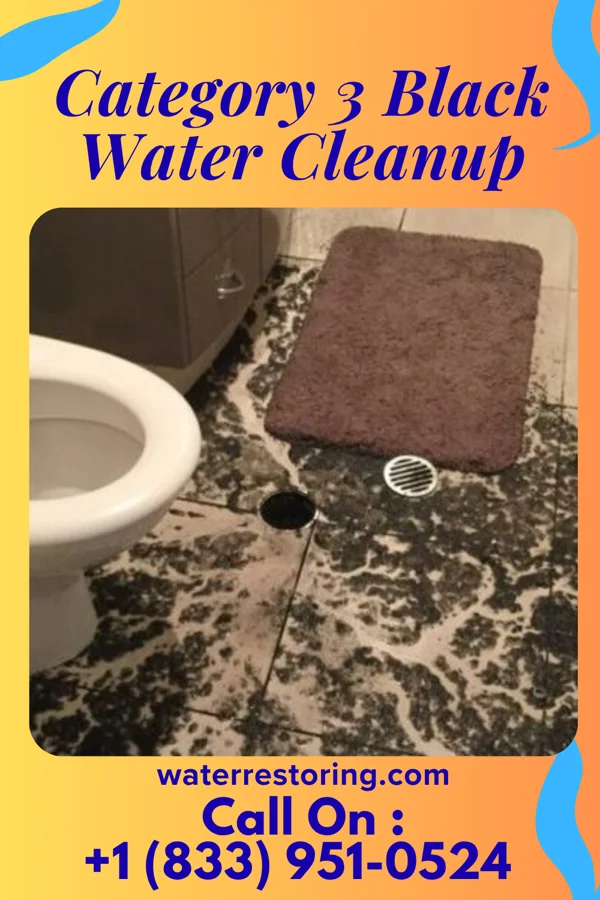 Category 3 Black Water Cleanup in Bardonia, NY
