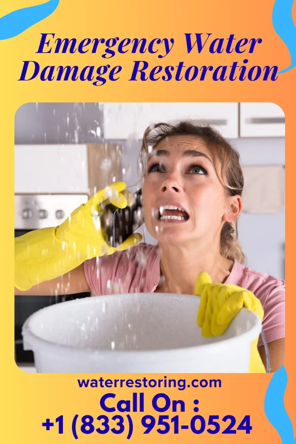 Emergency Water Damage Restoration in Bardonia, NY