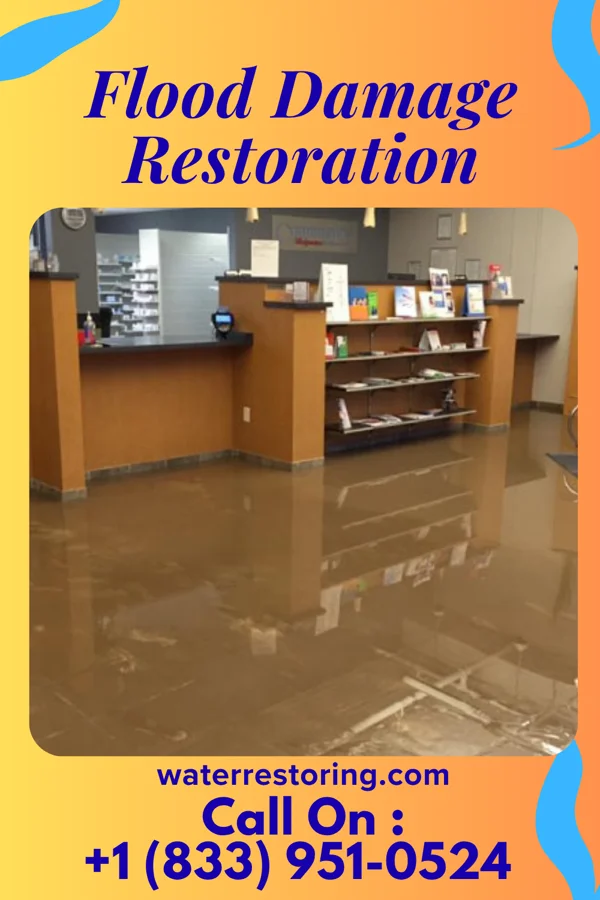 Flood Damage Restoration in Bardonia, NY