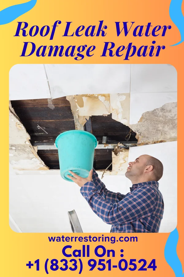 Roof Leak Water Damage Repair in Bardonia, NY