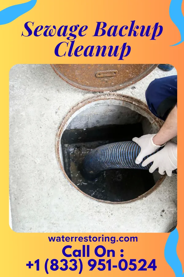 Sewage Backup Cleanup in Bardonia, NY