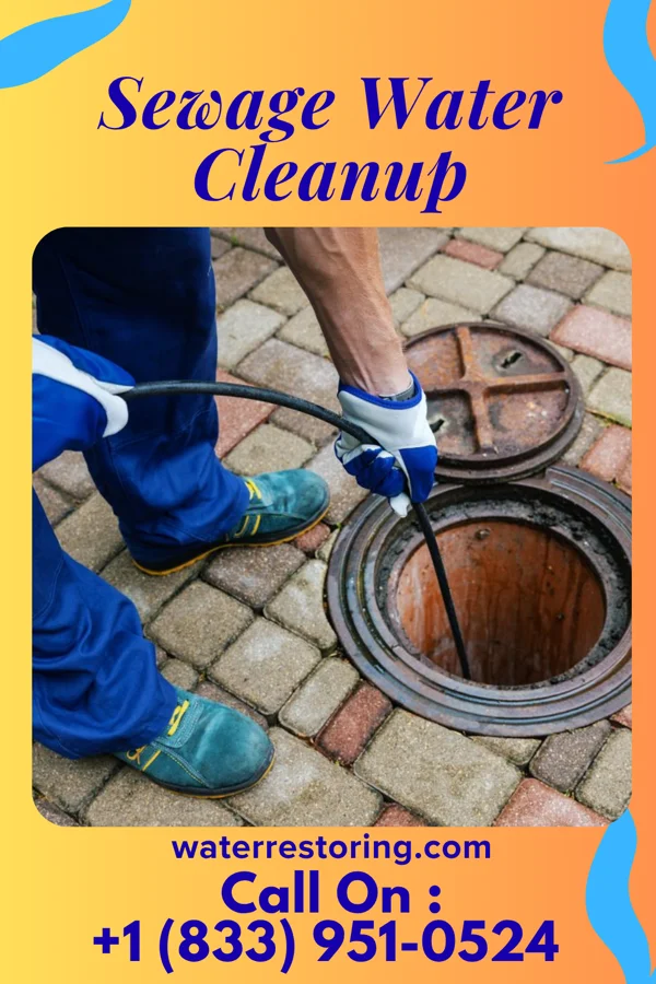 Sewage Water Cleanup in Bardonia, NY