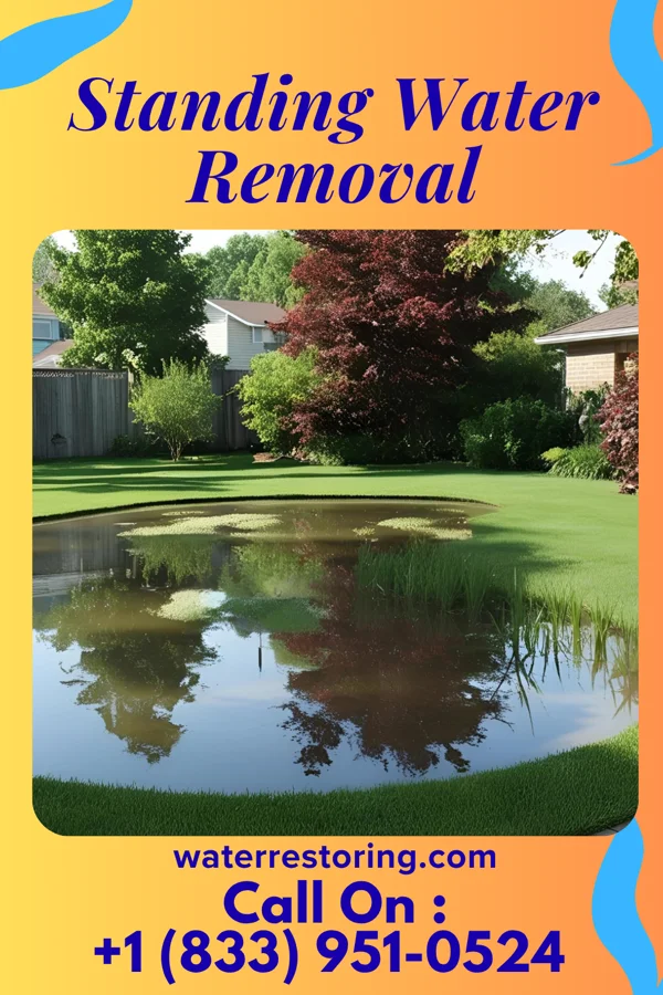 Standing Water Removal in Bardonia, NY